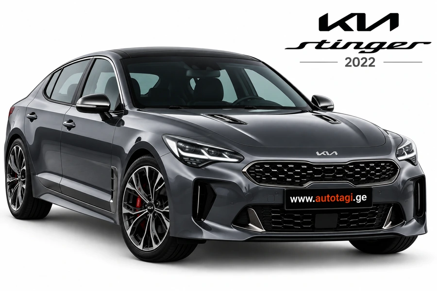 STINGER 2022