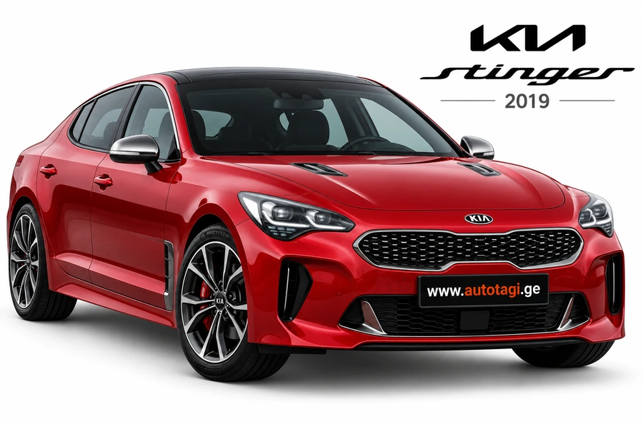STINGER 2019